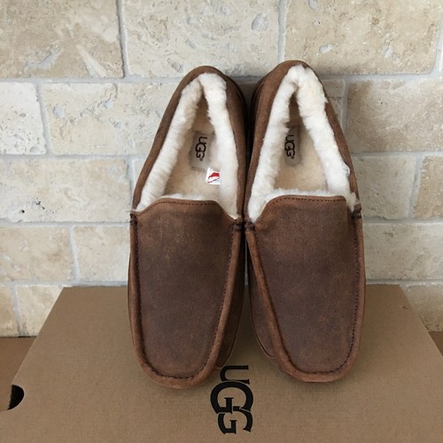 UGG ASCOT BOMBER CHESTNUT LEATHER 