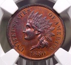1880 Indian Head Cent 1c NGC Unc Details #009 Unc Uncirculated ECC&C, Inc.