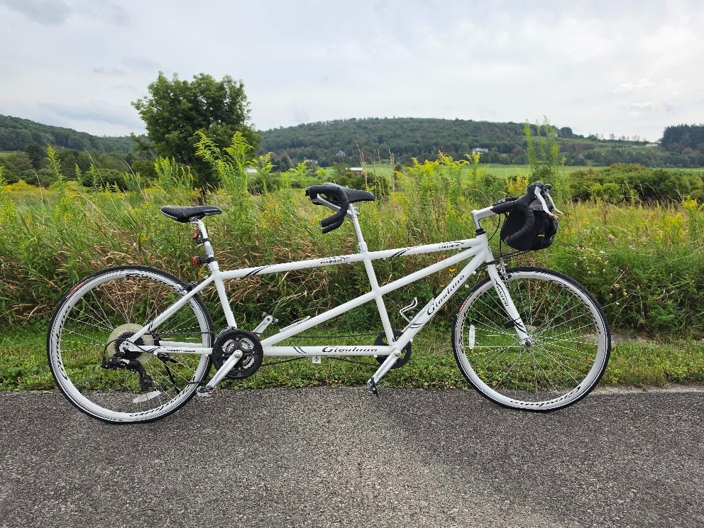 (Used) Giordano Viagio Tandem Pearl White 24 Speed Bicycle (integrated brake shifters) (350.00 USD)