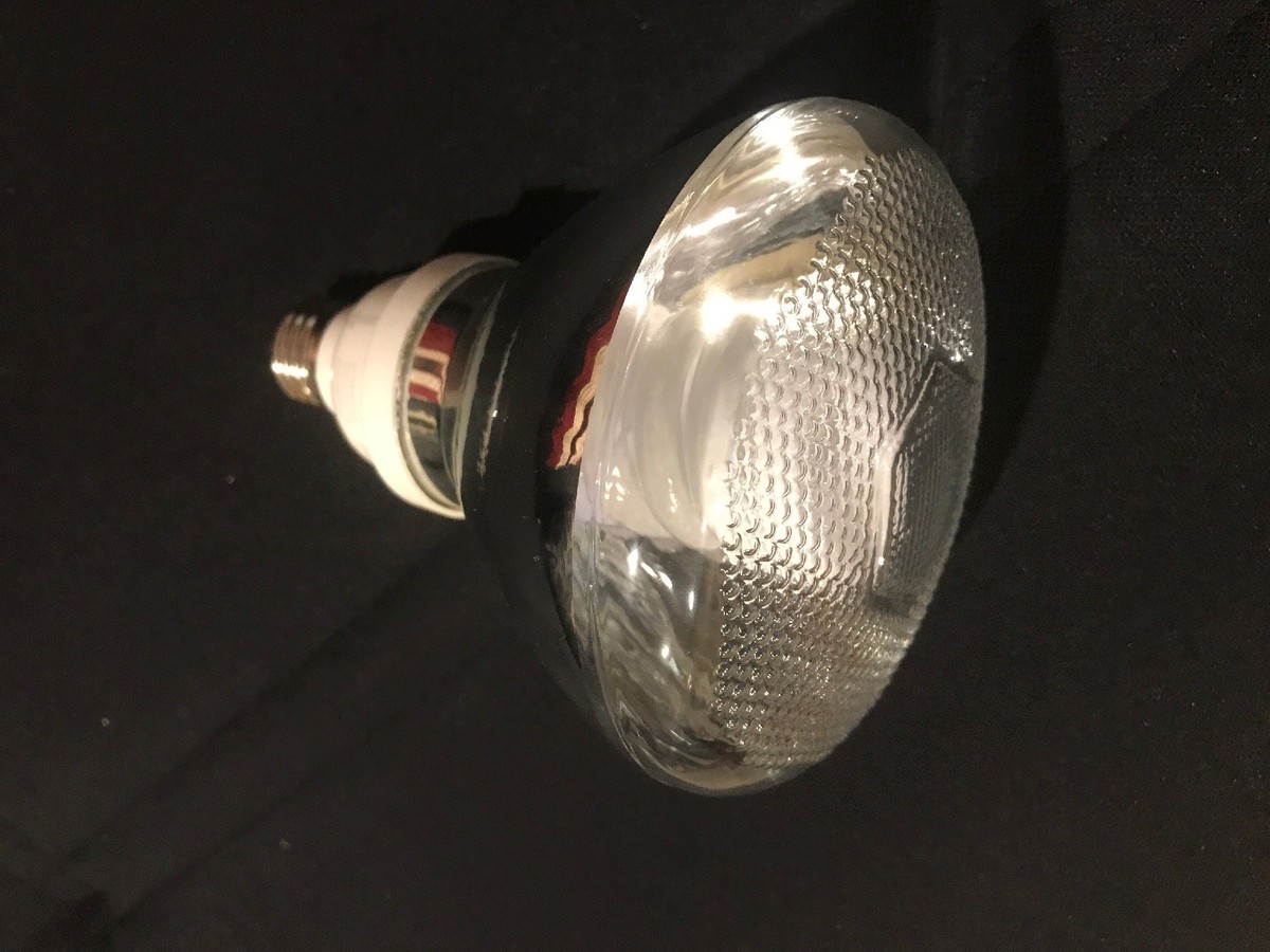 Nobel bright  Feit Enhance PAR38 E26 (Medium) LED Bulb Daylight 90 Watt