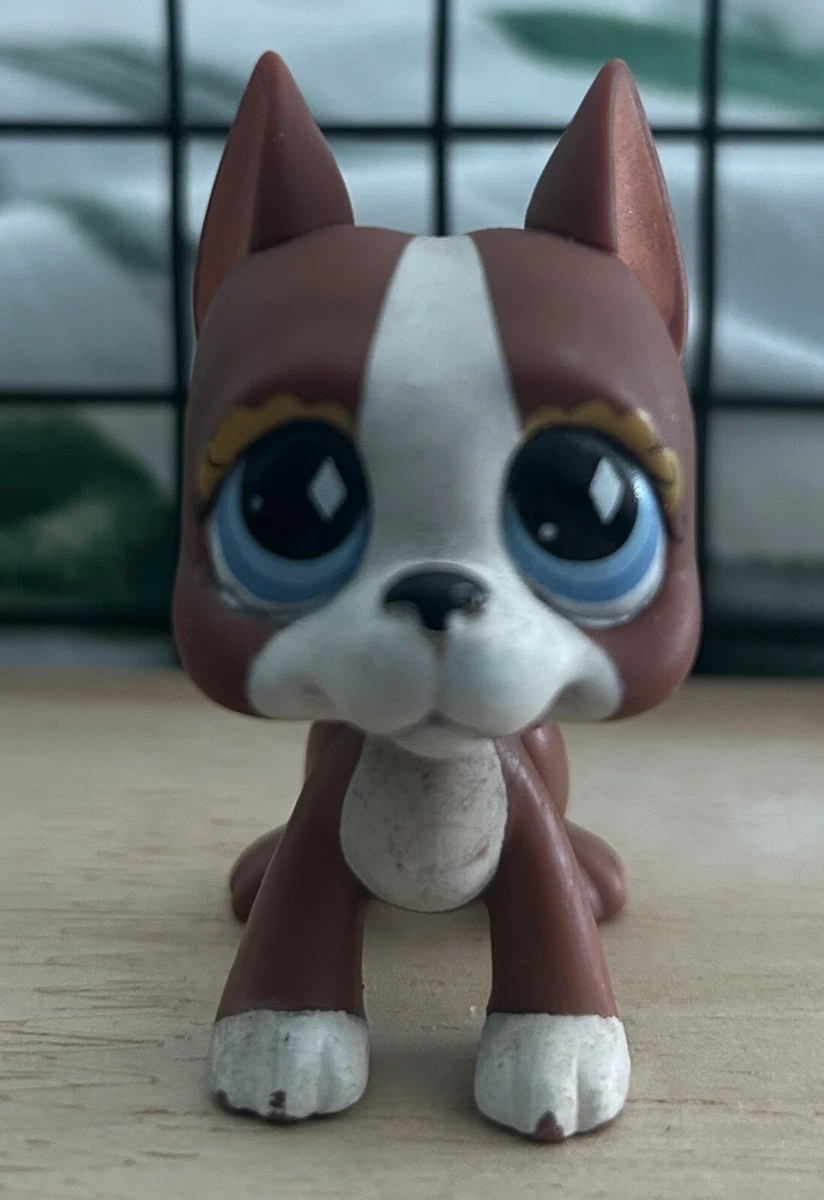 Collection Petshop d'occasion | Plus que 2 à -65