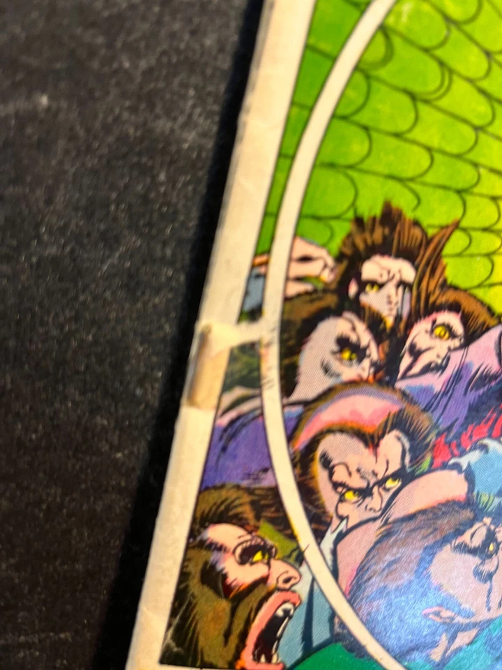 CONAN EL BÁRBARO 13 Barry Windsor Smith Cubierta DE COLECCIÓN Stan Lee LLAVE Vol 1!970 Foto 3 de 4