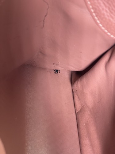 Louis Vuitton Capucines Taurillo MM - Picture 18 of 20