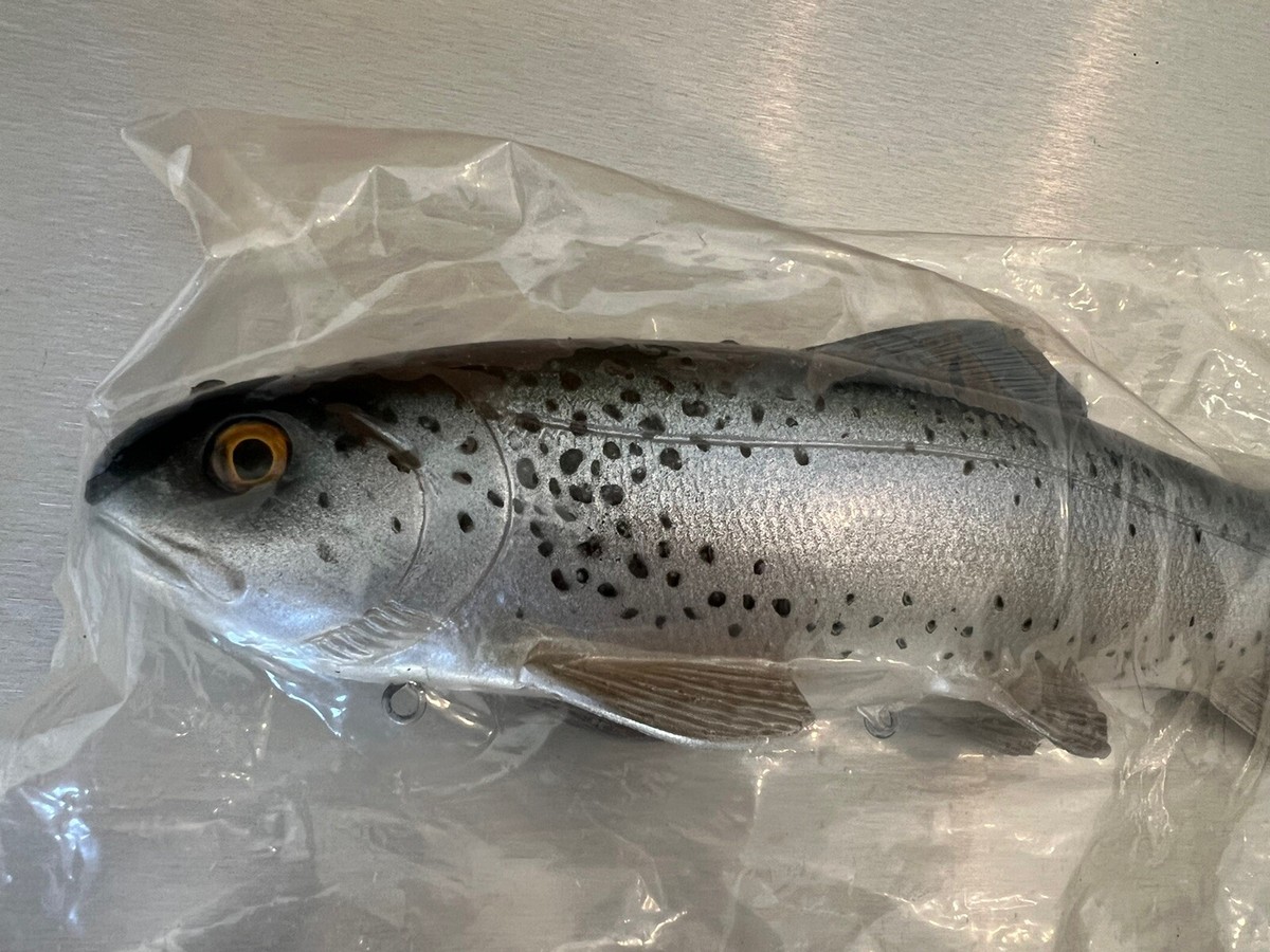 ルアー・フライ Working Class Zero / Battle Trout ルアー・フライ Working Class Zero / Battle Trout Working