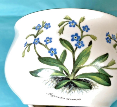 ROYALE GARDEN Bone China handverzierte ''ZUCKERDOSE'' Top Qualitätsartikel in sehr gutem Zustand