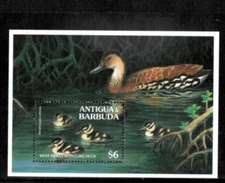 Antigua 1994 - Ducks, Nature - Souvenir Stamp Sheet - Scott #1855 - MNH