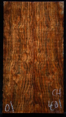 Chechen #401 Knife Scales 6''x 1.6''x 5/16'' see 100 woods in my store