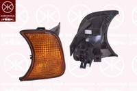 Neue Indikatorlampe - Links - Passt Zu BMW 5 (E34) 1987-1996 - 63131384033