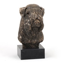 Soft-Coated Wheaten Terrier Head On Stone Art-Dog