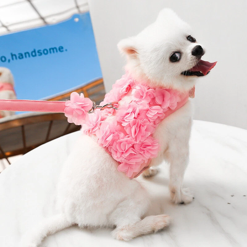 Dog Harness With Leash Adjustable Soft Padded Pet Vest Flower Lace For Small