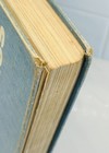 Bild 3 von 19