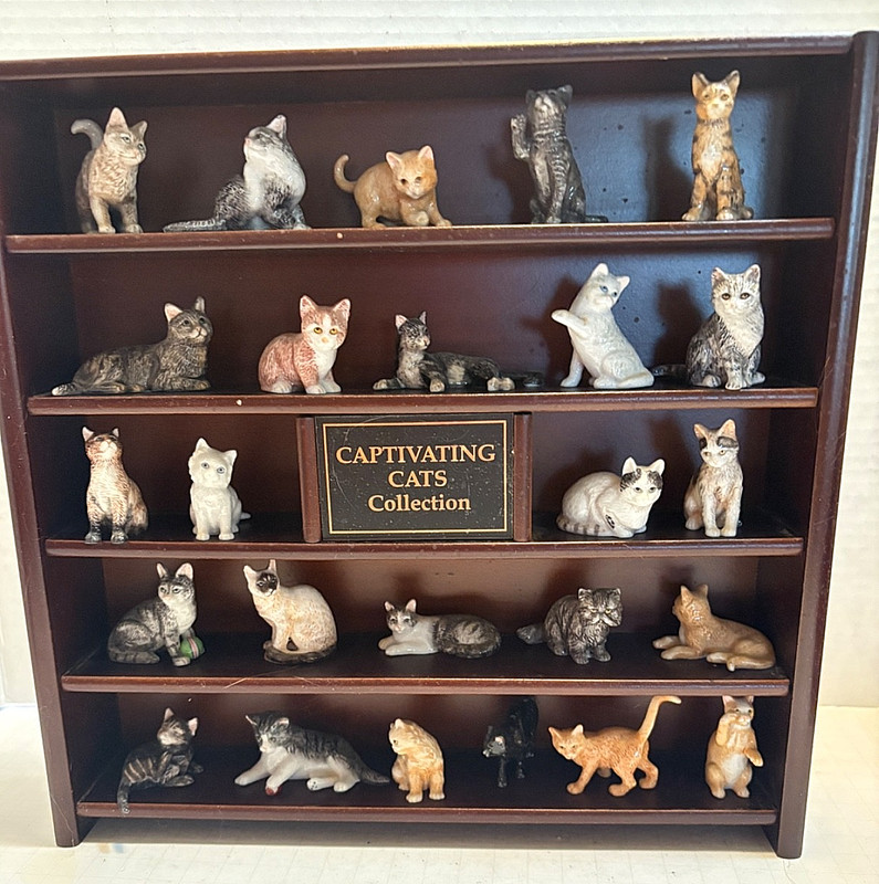 Willabee & Ward Captivating Cats Collection, 25 Cats with wooden hanging shelf