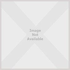 Waiting for the Fairies Paperback Eleanor Coombe