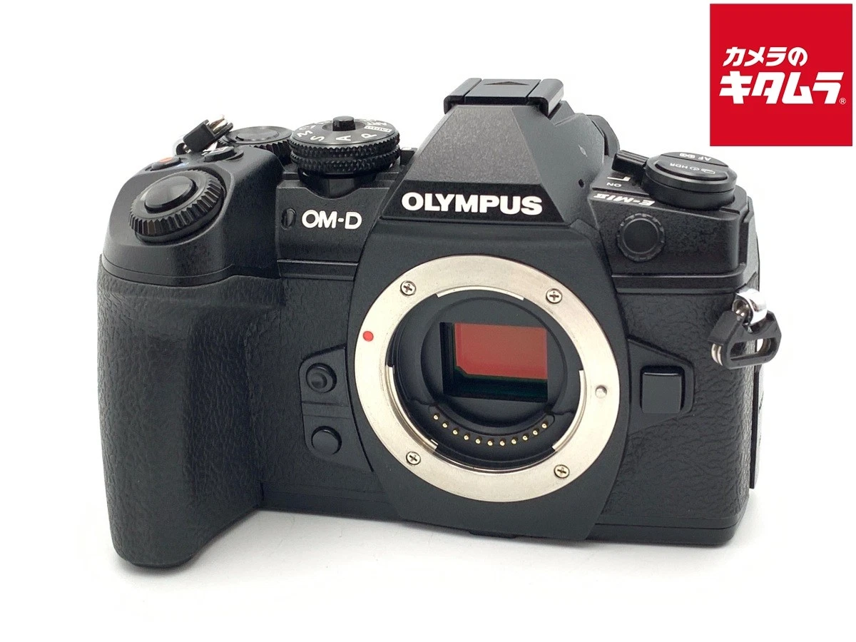 ☆ショット95554回☆ OLYMPUS OM-D E-M1 　＃386 Olympus OM-D E-M1X Mirrorless Camera Body