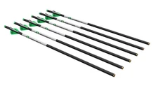 Archery CP400 Select 400-Grain 20-Inch Carbon Arrows, Pack of 6