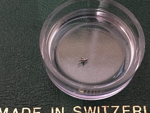 PATEK PHILIPPE Cal. 27sc de lote antiguo - Imagen 9 de 19