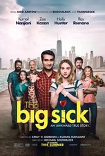 The Big Sick movie poster (a) - 11 x 17 inches - Kumail Nanjiani, Zoe Kazan
