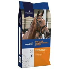 Dodson & Horrell Build Up Cubes 20kg - HORSE & PONY FEED 1.55 per kilo