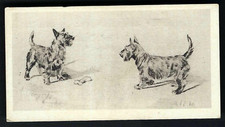 BRITISH AMERICAN (PRINTED) - ETCHINGS (OF DOGS) - #11 AN UNINVITED GUEST