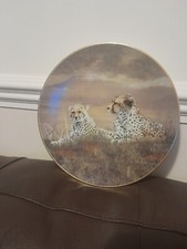 Big Cat Decorative Plate