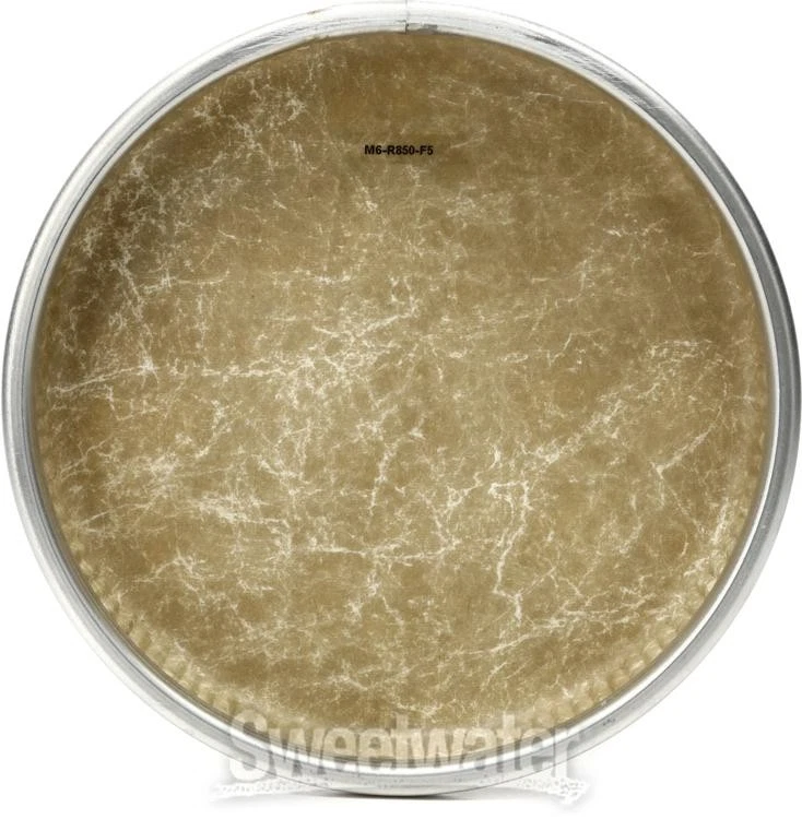 Cabezal Bongo Remo Fiberskyn - 8,5" - Serie R Foto 4 de 4