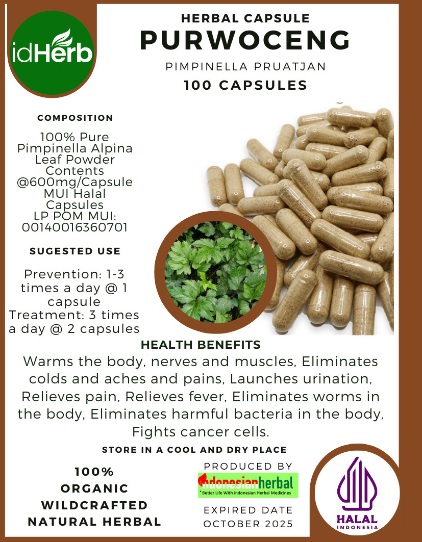 Capsule Purwoceng Pimpinella Pruatjan - 100-500 pezzi