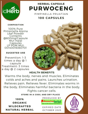 BESTPRICE  100-500 CAPSULES PURWOCENG PIMPINELLA PRUATJAN NATURAL HERBAL HERBS