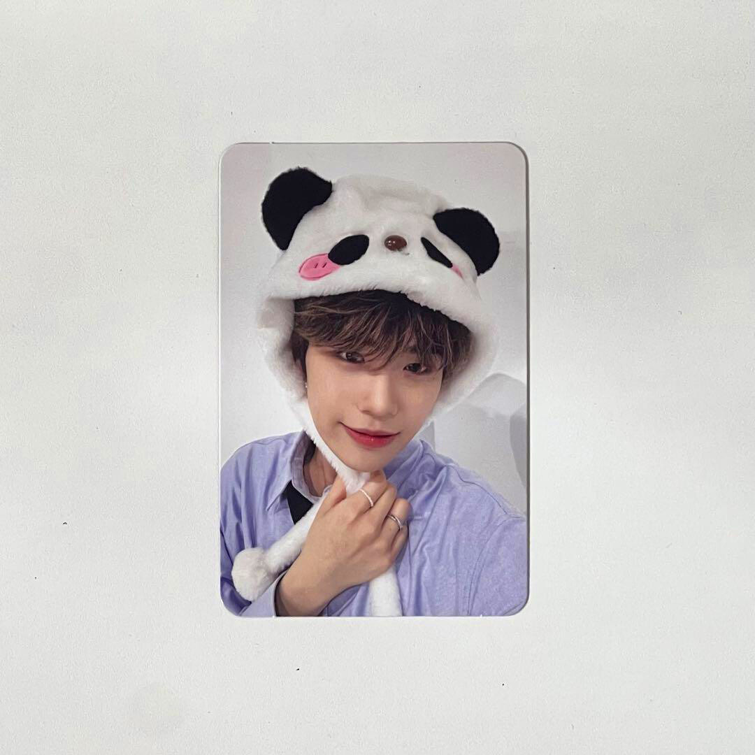 アイドルグッズ ZB1 YOUTH the SHADE MAKE STAR ZB1 YOUTH IN THE SHADE MAKESTAR CAT ver. OFFICIAL photocard