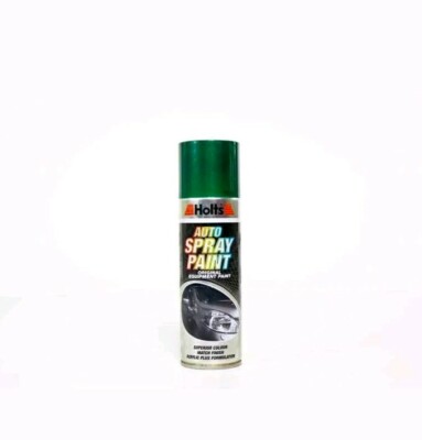 Holts paint Match Pro, 300 ml exact colour match aerosol paint HGRM01