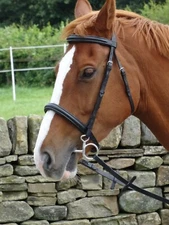 Turners Stunning Black Leather Snaffle Cavesson Horse Riding Bridle with Reins 