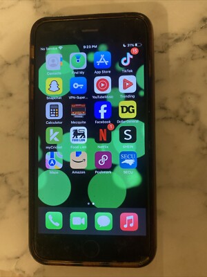 iPhone 6s Plus With TikTok App