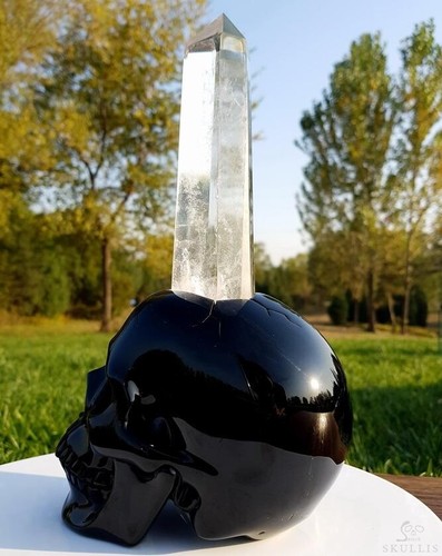 The Source of the Energy - Huge 11.3" Black Obsidian Crystal Skull Sculpture - Picture 7 of 19