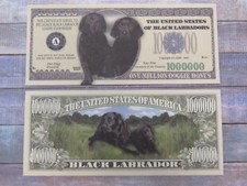 BLACK LABRADORS: Dog Lovers Labrador ~ Kay Nine ~ $1,000,000 One Million Dollars