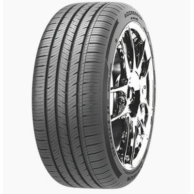 Arisun Aggressor ZS03 255/45R17XL 102W BSW (2 Tires)