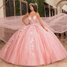 Pink Quinceanera Dress Ball Gown With Bow Shawl Floral Lace Applique Sweet 16