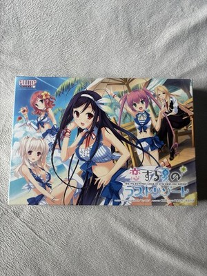 Be My Summer Love In The Last Paradise! Visual Novel Game PC Japanese Release