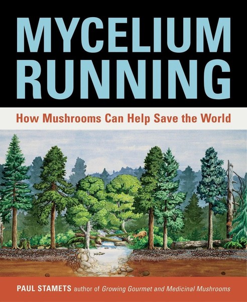 Mycelium Running How Mushrooms Can Help Save The World Paul Stamets Taschenbuch-image