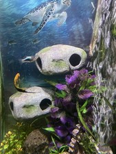 OrnaMounts Aquarium Decor Magnetic Rock Cave Ornament Grey and Green