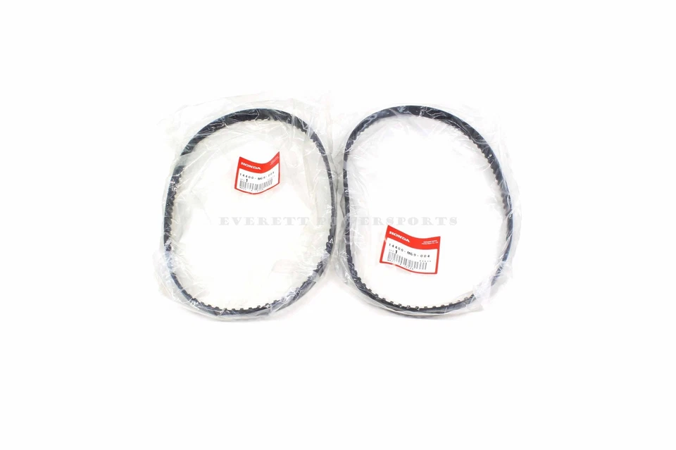 Nuevas correas de distribución originales Honda 84-87 GL1200 Goldwing todos los modelos #X163 Foto 4 de 4