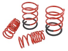 Skunk2 For Lowering Springs - 2002-2004 Acura Rsx