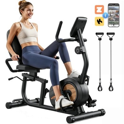 Magnetic Recumbent Exercise Bike Stationary Bikes for Home Fitness Workout Bike