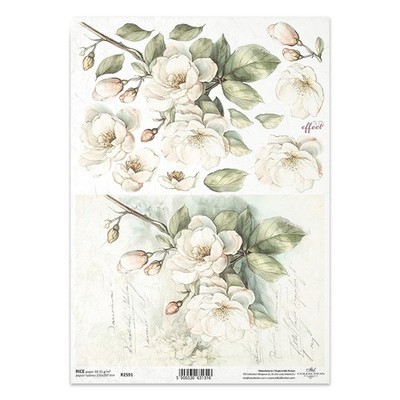 ITD Reispapier Decoupage Bastelpapier Serviettentechnik-R2591 Apfelblüten