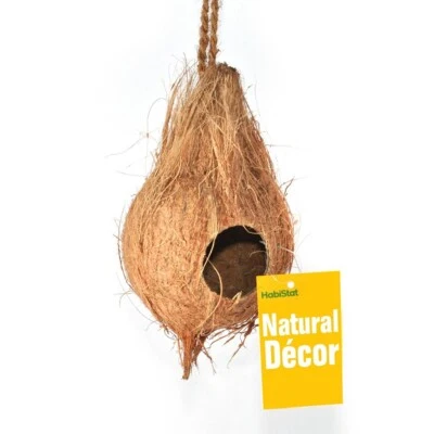 Habistat Kokosnuss Versteck Baumbewohner Reptilien Terrarium Terraristik Höhle