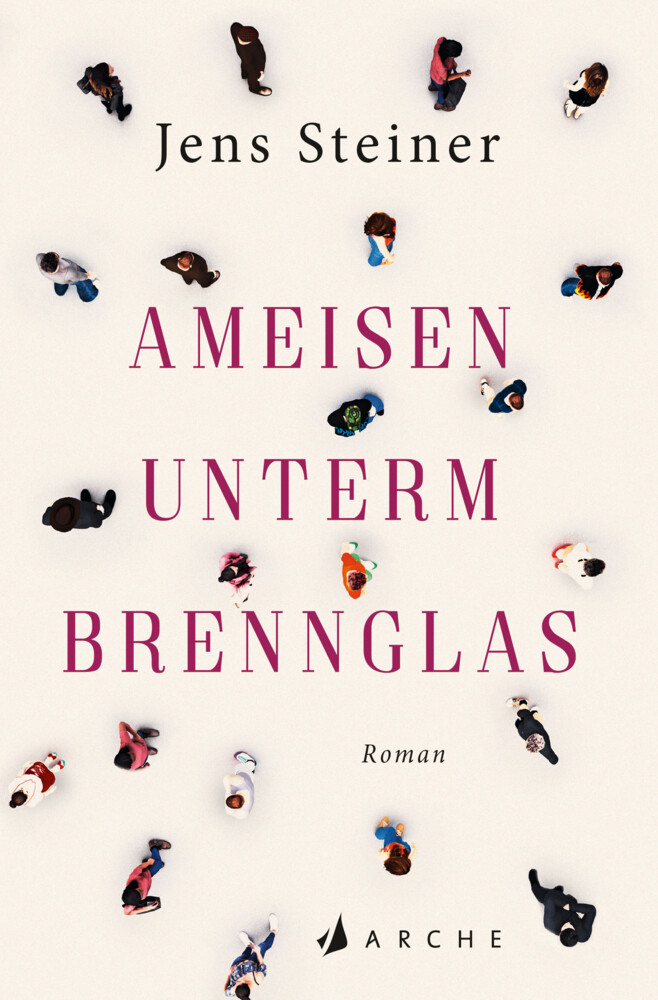 Thumbnail - Ameisen Unterm Brennglas Jens Steiner Taschenbuch 240 S. Deutsch 2021