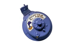 Fits 71 72 73 74 Roadrunner Purple BEEP BEEP Horn