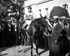 Champion Racehorse TOP FLIGHT Glossy 8x10 Photo Print Raymond Workman Poster