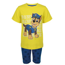 Paw Patrol shorts and t-shirt set