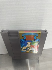 King's Knight (Nintendo Entertainment System, 1989) NES