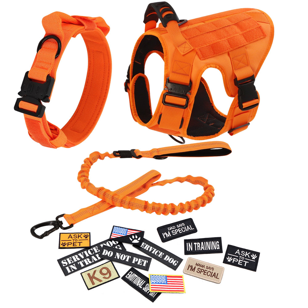 Tactical Training Dog Vest Dog Collar and Dog Leash Set with 12 patches