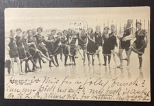 In the Swim Long Beach California printed Hovey